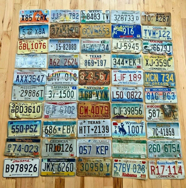 New Item: 50 Roadkill Condition License Plates from at least 30 Different States