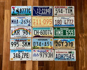 15 Colorful License Plates from 15 Different States