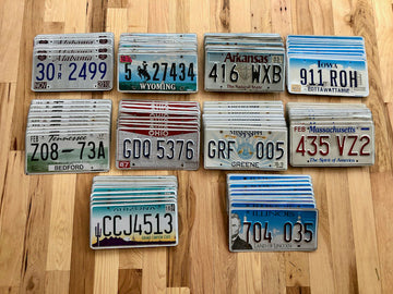 Bulk Lot of 100 License Plates- 10 of Each State in Craft Condition