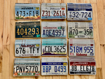 Bulk Lot of 60 License Plates from 12 Different States - 5 of Each State