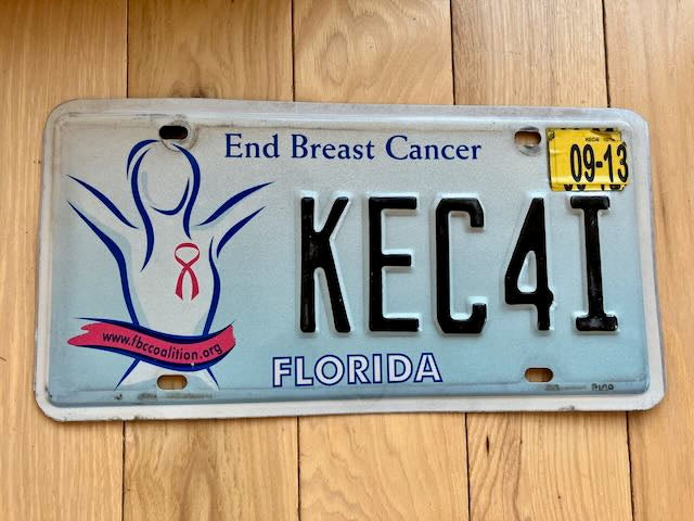 2013 Florida End Breast Cancer License Plate