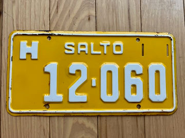 Uruguay Salto License Plate