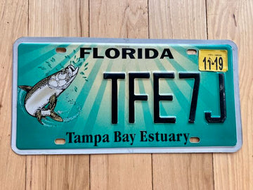 2019 Florida Tampa Bay Estuary License Plate