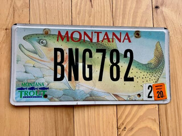 Montana Trout License Plate