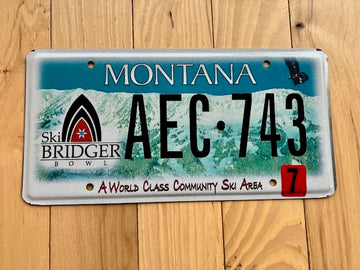Montana Ski Bidger License Plate