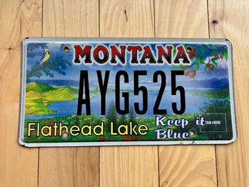 Montana Flathead Lake License Plate