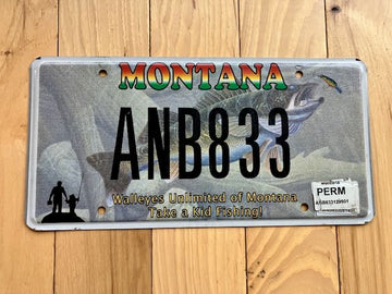 Montana Walleyes Unlimited of Montana Take a Kid Fishing License Plate