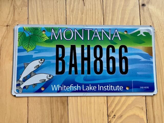 Montana Whitefish Lake Institute License Plate