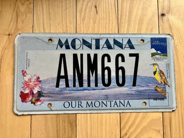 Our Montana License Plate