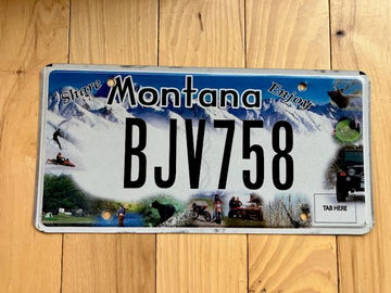 Montana Ski License Plate