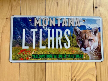 Montana Yellowstone License Plate - Vanity