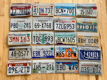Bulk Set of 100 License Plates- 20 Versions, 5 of Each in Craft Condition