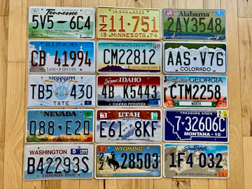 15 Colorful License Plates from 15 Different States