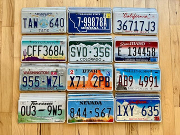 Bulk Lot of 60 License Plates from 12 Different States - 5 of Each State