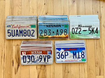 Wholesale Lot of 50 License Plates from 5 Different States - 10 of Each State