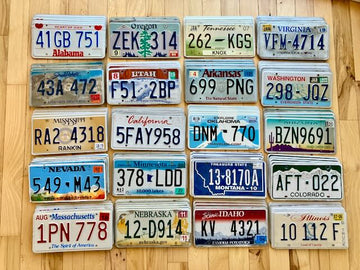 100 License Plates From 20 Different States (5 of Each State Shown)