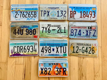 Wholesale Lot of 50 License Plates from 10 Different States - 5 of Each State