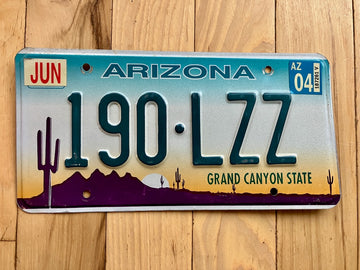 2004 Arizona License Plate