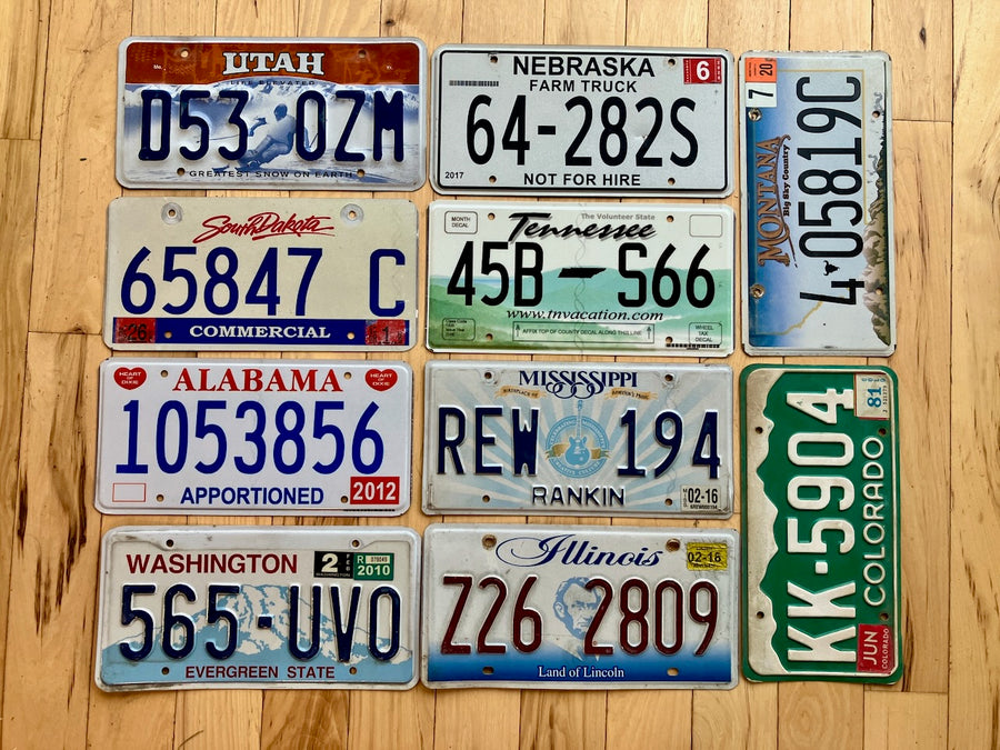 10 Pack of Craft Condition License Plates from 10 Different States