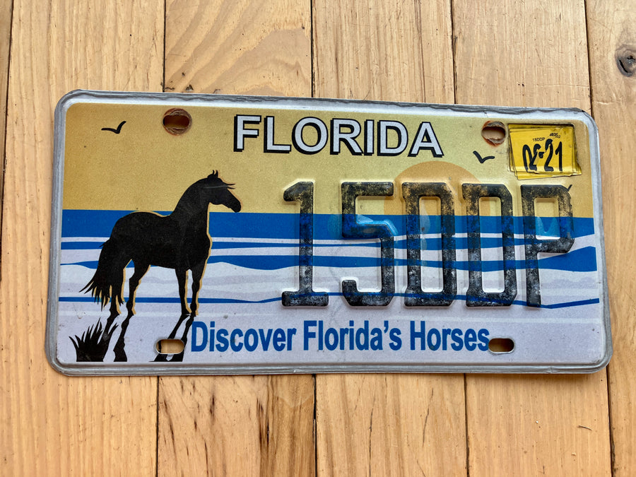 Discover Florida Horses License Plate
