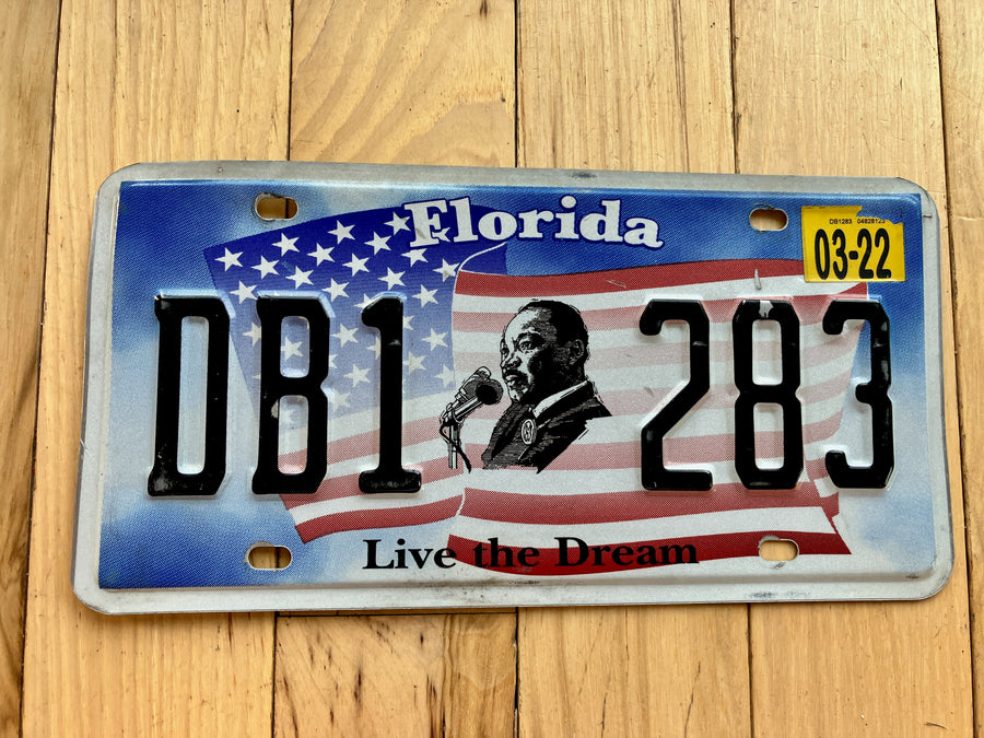 Florida Live the Dream License Plate