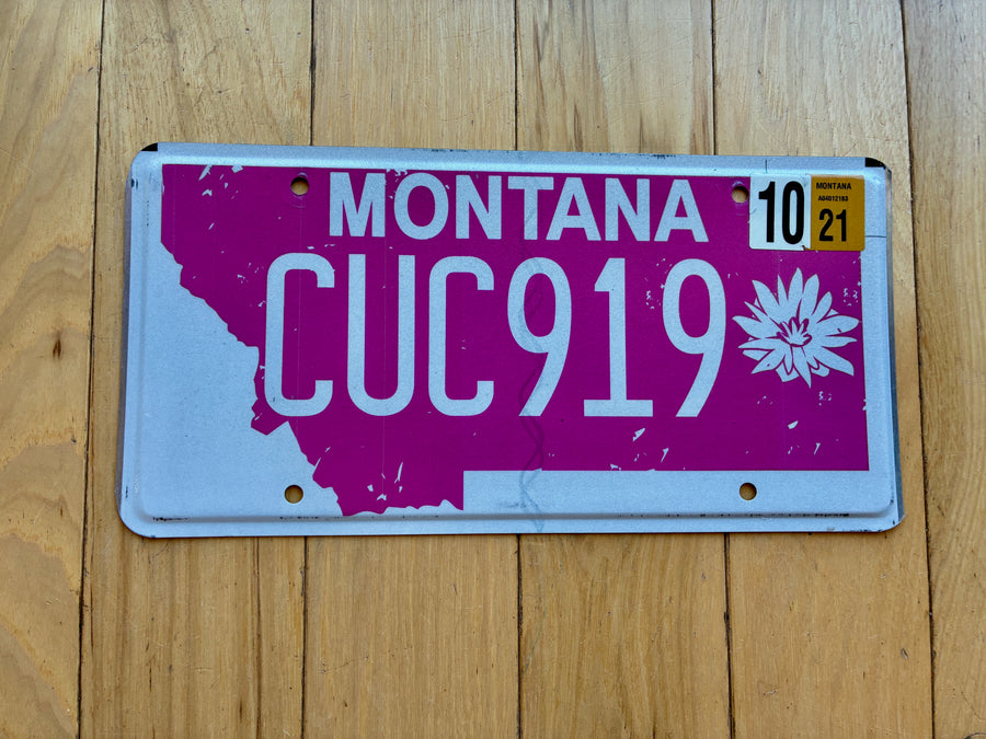 Montana License Plate