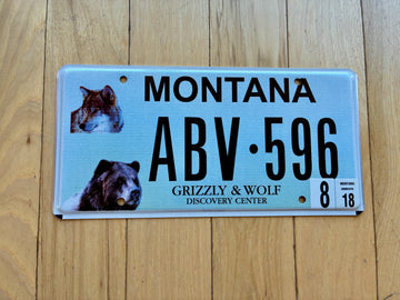 Montana Grizzly License Plate