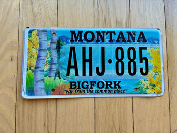 Montana BIGFORK License Plate