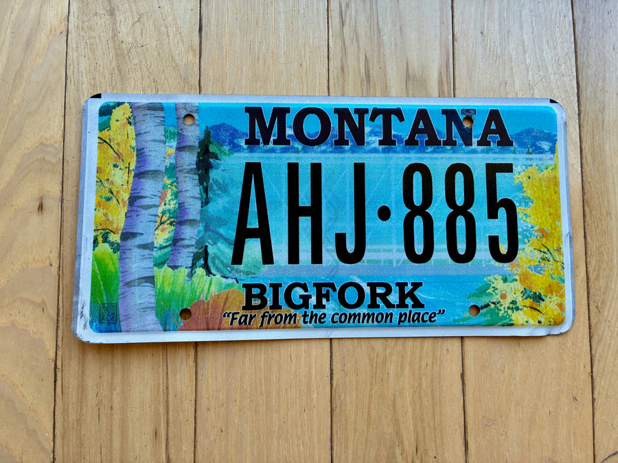 Montana BIGFORK License Plate
