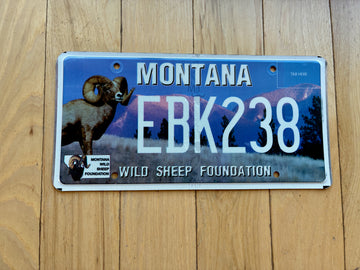 Montana Wild Sheep Foundation License Plate