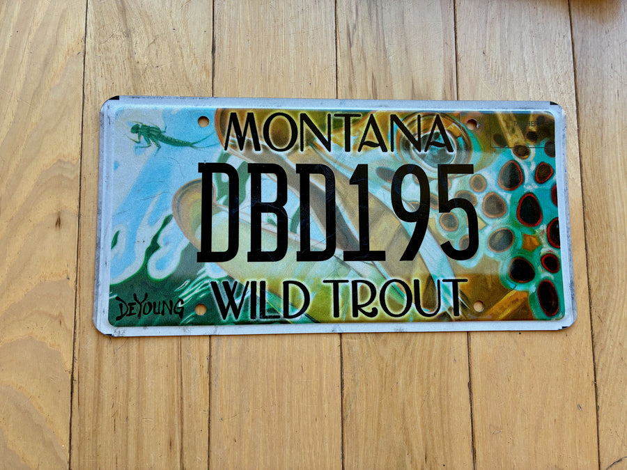 Montana Wild Trout License Plate
