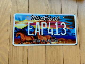Montana Ride The Big Sky License Plate