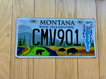 Montana Yellowstone License Plate