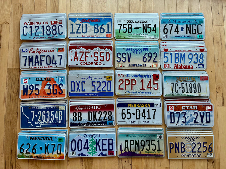 Bulk Set of 100 License Plates- 20 Versions, 5 of Each in Craft Condition