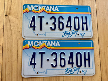 Pair of 1991 Montana License Plates