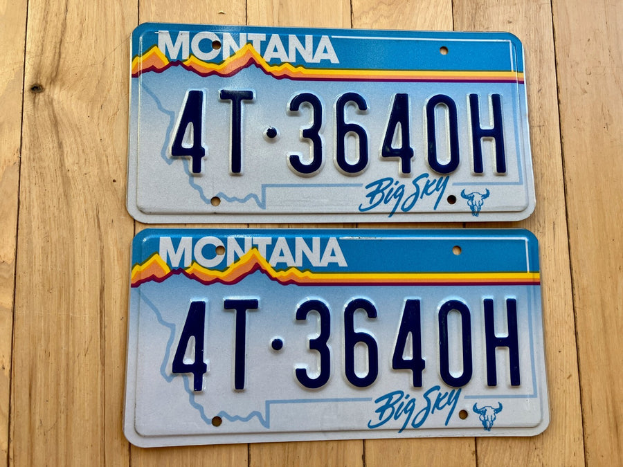 Pair of 1991 Montana License Plates