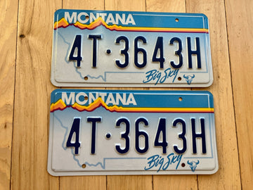 Pair of 1991 Montana License Plates