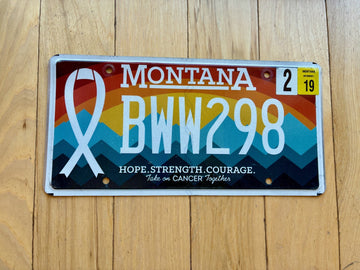 2019 Montana Take On Cancer License Plate