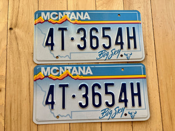 Pair of 1991 Montana License Plates