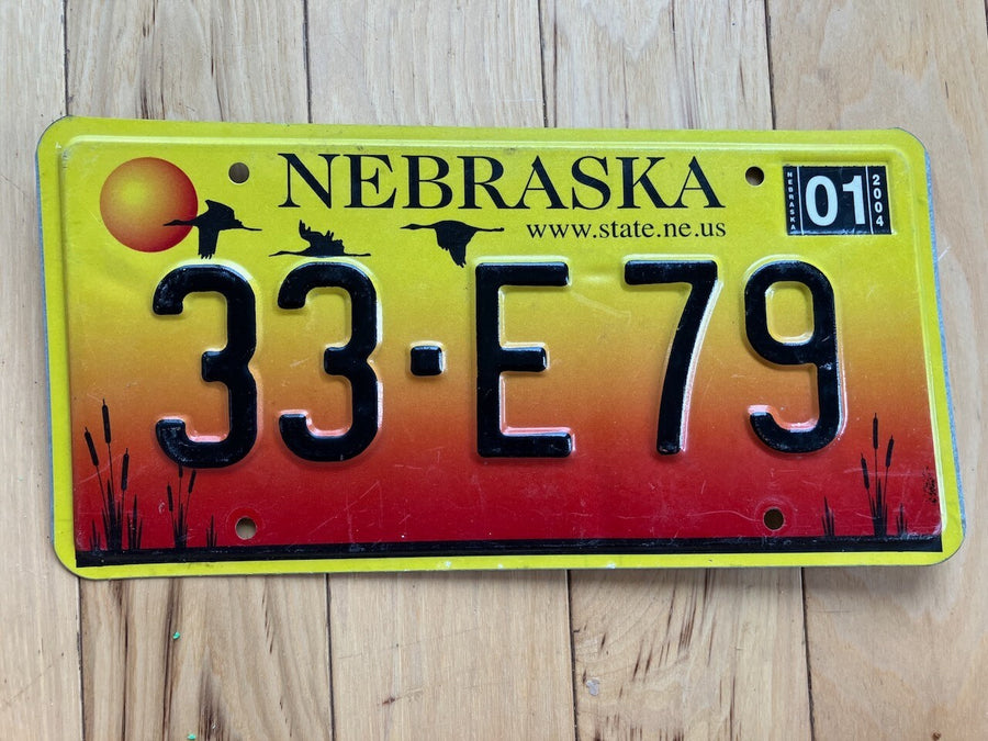 2004 Nebraska License Plate