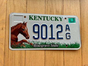 2009 Kentucky Horse License Plate