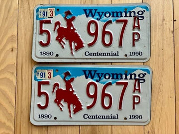 Pair of 1991 Wyoming License Plates