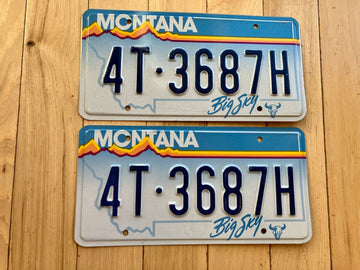 Pair of 1991 Montana License Plates