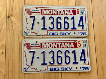 Pair of 1976 Montana License Plates W/ 1991 Tabs