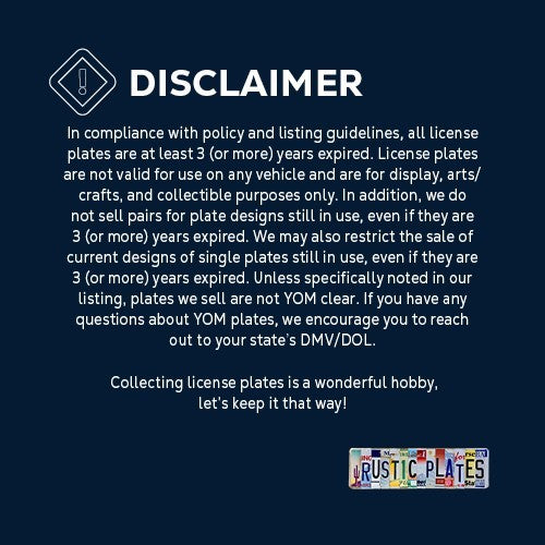 Pack of 10 Craft Condition License Plates from 10 States for Art Projects