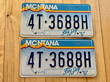 Pair of 1991 Montana License Plates