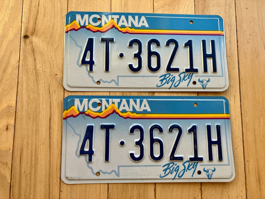 Pair of 1991 Montana License Plates
