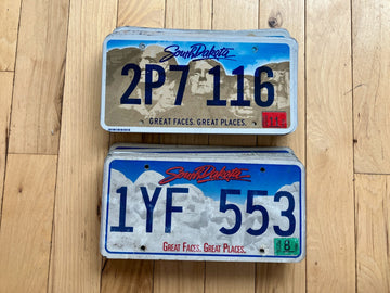 50 South Dakota Craft Condition License Plates - Mix of Versions