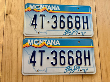 Pair of 1991 Montana License Plates