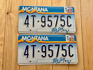 Pair of 1994 Montana License Plates